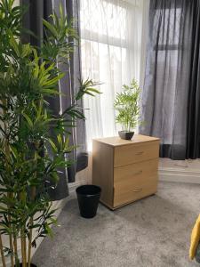 a room with a dresser with two potted plants and a window at Bentley House with en-suites in Crewe