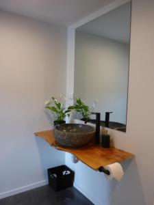 W łazience znajduje się umywalka i lustro. w obiekcie Kaiteriteri Abel Tasman Inlet Views w mieście Kaiteriteri