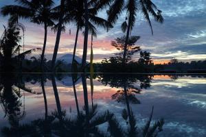 a reflection of palm trees in the water at sunset at Santun Luxury Private Villas-CHSE CERTIFIED in Ubud
