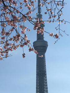 东京纳卡大雅旅馆的相册照片