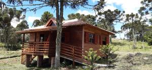 a log cabin in a forest with a tree at Casa de Campo Rincão do Fortaleza in Cambara do Sul