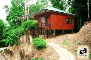 a small wooden cabin on a hill in the woods at Kinabatangan Wildlife Lodge in Sandakan