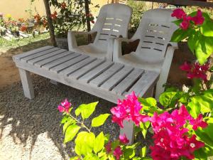Κήπος έξω από το top sea view guest