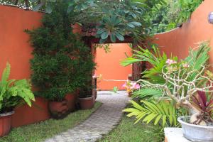 un jardin avec des plantes en pot et une passerelle dans l'établissement Villa Pondok Terra, à Yogyakarta