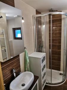 La salle de bains est pourvue d'un lavabo et d'une douche. dans l'établissement Chata Osmička, à Zlaté Hory