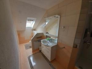 uma pequena casa de banho com um lavatório e um espelho em Apartment City Metzingen em Reutlingen