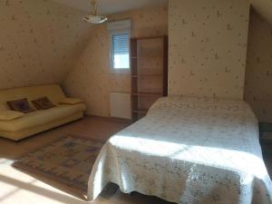 een slaapkamer met een bed en een bank in een kamer bij CHEZ MARLYSE in Blois