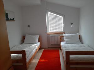 2 letti in una camera con tappeto rosso di Apartment Zupan a Maribor