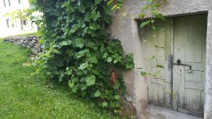 Gallery image of Barbara`s Village House in Ilirska Bistrica +44 photos