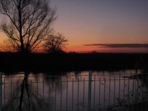 un tramonto su un corpo d'acqua con un albero di Pension "Zum Schwan" a Muhr amSee