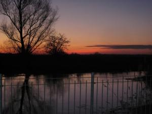 a sunset over a body of water with a tree at Pension "Zum Schwan" in Muhr amSee