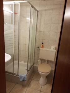 a bathroom with a toilet and a shower at Hotel Arkona in Genthin