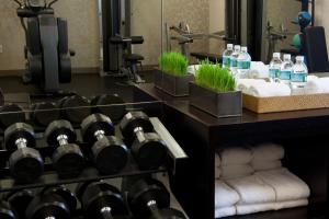 Fitness centrum a/nebo fitness zařízení v ubytování The Shelburne Sonesta New York