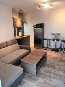 a living room with a couch and a kitchen at Vehlovice Apartments in Mělník