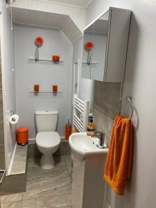 a bathroom with a white toilet and a sink at garden view apartment in Bangor