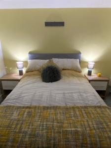 a cat sleeping on a bed with two night stands at garden view apartment in Bangor