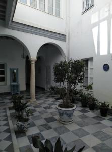 dziedziniec z doniczkami w budynku w obiekcie CASA ARCO DEL CAÑÓN - Casita con Encanto w mieście Medina Sidonia