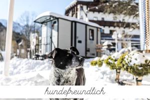 Ospiti di ALPENHOTEL TYROL - B&B - Hundefreundliches Konzepthotel - adults only con animali domestici