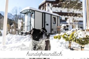 un cane bianco e nero seduto nella neve di Alpenhotel Tyrol - Konzepthotel - adults only a Pertisau