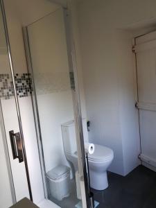 een kleine badkamer met een toilet en een douche bij Casa Polo in Loiba