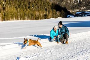ALPENHOTEL TYROL - B&B - Hundefreundliches Konzepthotel - adults only durante l'inverno