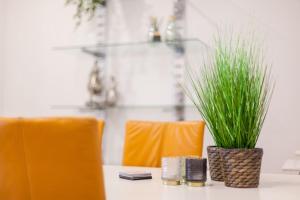 une table avec un vase recouvert de plantes vertes dans l'établissement Luxurious two bedroom apartment A kwartier Center, à Groningue