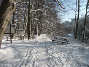 겨울의 Ferienwohnung Krottensee