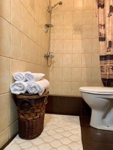 a bathroom with a toilet and a basket of towels at Apartment Alla in Chernihiv