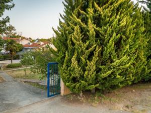 ein großer Weihnachtsbaum neben einem blauen Tor in der Unterkunft Leisure Moments Maisonette by TravelPro Services Possidi Halkidiki in Posidi