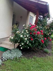 Vonkajšia záhrada v ubytovaní Új Élet Weekend house + 12 fotografií