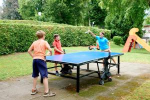 Stolní tenis v ubytování Parkhotel Pörtschach - Das Hotelresort mit Insellage am Wörthersee nebo okolí