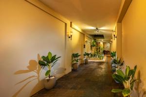a corridor with potted plants in a hallway at Rosmead Place by Thilanka in Colombo