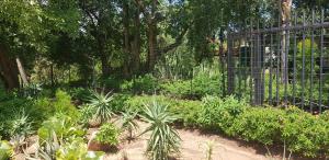 a garden with a fence and some plants at A Farm Stay - Casablanca's Private Cottage,no loadshedding! in Hazyview