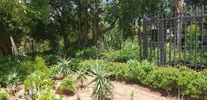 Κήπος έξω από το A Farm Stay - Casablanca's Private Cottage,no loadshedding!