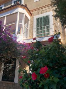 Giardino di Sol Port Soller