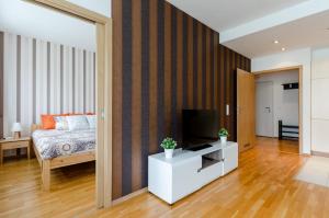 Televiisor ja/või meelelahutuskeskus majutusasutuses Flat at the Danube with wellness