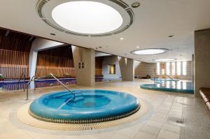 Bassein majutusasutuses Flat at the Danube with wellness või selle lähedal