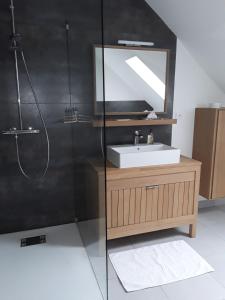 ein Bad mit einem Waschbecken und einem Spiegel in der Unterkunft Maison bois in Germigny-des-Prés
