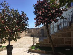 twee bomen voor een trap met bloemen bij Casa do Negrões in Boticas