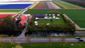 an aerial view of a house next to a field of tulips at Vakantiewoning Koegras in Julianadorp
