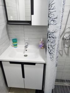 uma casa de banho com um lavatório e uma cortina de chuveiro em Apartman Mira&Ahmet em Stolac