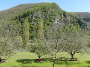 ein grünes Feld mit Bäumen und einem Berg in der Unterkunft Hotel Moselkern in Moselkern