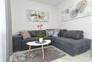 a living room with a couch and a table at Apartments Violete 742 in Pula