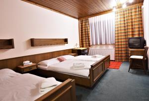 a hotel room with two beds and a television at Hotel Vanda in Irschen