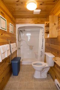 a bathroom with a toilet and a shower and a sink at North Rustico Motel & Cottages in North Rustico