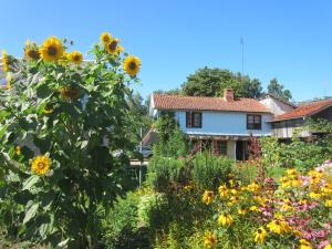 un jardín frente a una casa con girasoles en Aizvējā, en Pāvilosta