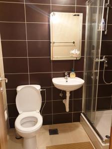 a bathroom with a toilet and a sink at Stan na dan Loznica in Loznica +14 photos