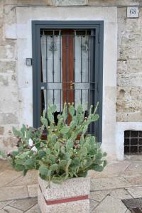a potted plant in front of a window at La Stanza in Bari