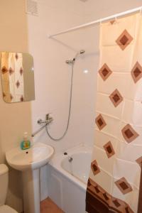uma casa de banho com um lavatório, um WC e um chuveiro em Соборная Апартаменты em Kamianets-Podilskyi