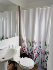 a bathroom with a toilet and a sink and a shower curtain at Casa Amoblada Puerto Montt in Puerto Montt